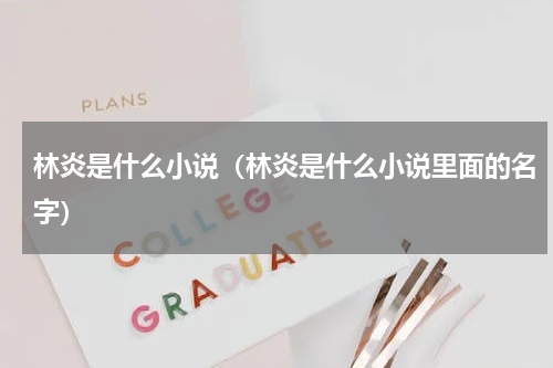 林炎是什么小说（林炎是什么小说里面的名字）