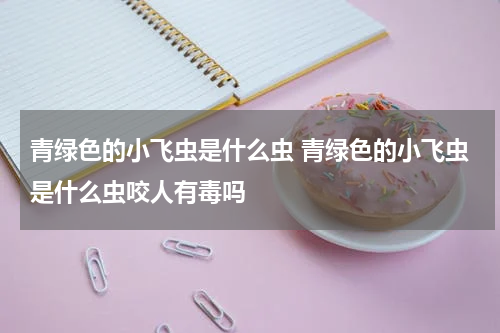 青绿色的小飞虫是什么虫 青绿色的小飞虫是什么虫咬人有毒吗