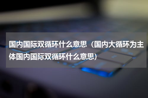 国内国际双循环什么意思（国内大循环为主体国内国际双循环什么意思）