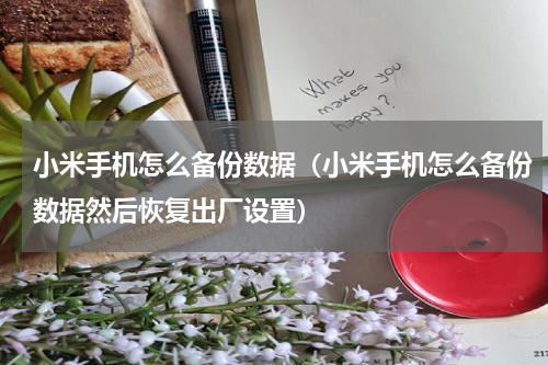 小米手机怎么备份数据（小米手机怎么备份数据然后恢复出厂设置）