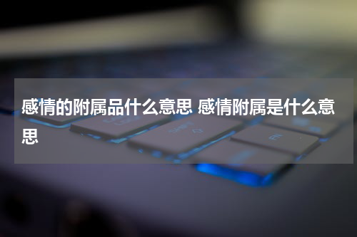 感情的附属品什么意思 感情附属是什么意思