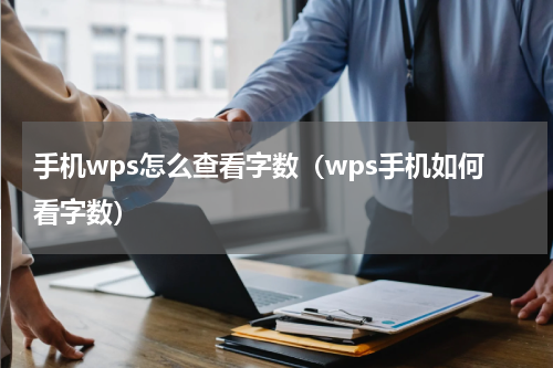 手机wps怎么查看字数（wps手机如何看字数）