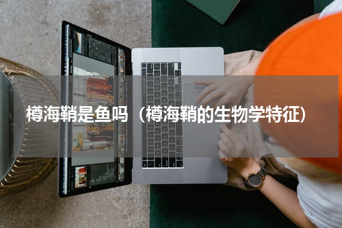 樽海鞘是鱼吗（樽海鞘的生物学特征）
