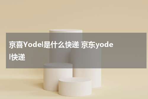 京喜Yodel是什么快递 京东yodel快递