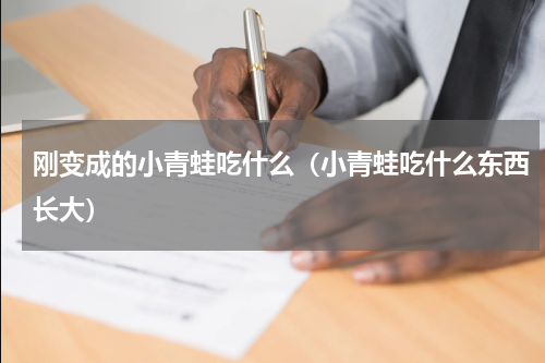 刚变成的小青蛙吃什么（小青蛙吃什么东西长大）