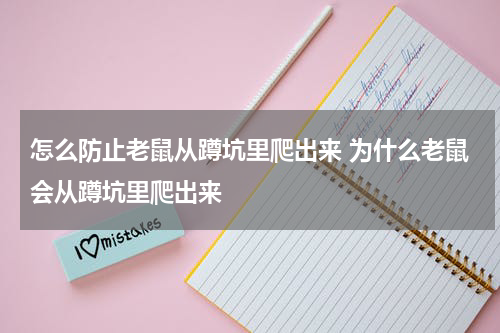 怎么防止老鼠从蹲坑里爬出来 为什么老鼠会从蹲坑里爬出来
