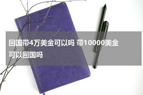 回国带4万美金可以吗 带10000美金可以回国吗