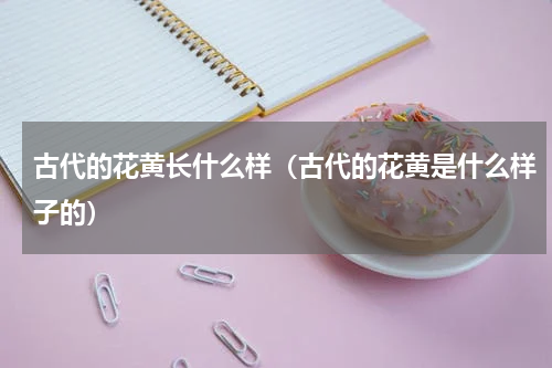 古代的花黄长什么样（古代的花黄是什么样子的）