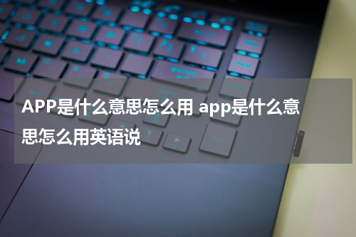 APP是什么意思怎么用 app是什么意思怎么用英语说