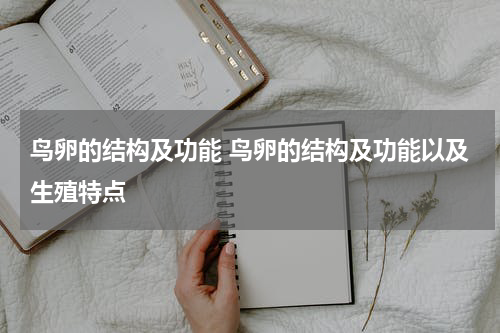 鸟卵的结构及功能 鸟卵的结构及功能以及生殖特点