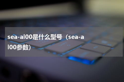 sea-al00是什么型号（sea-al00参数）