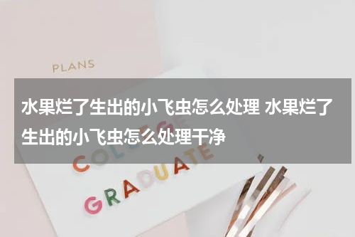 水果烂了生出的小飞虫怎么处理 水果烂了生出的小飞虫怎么处理干净