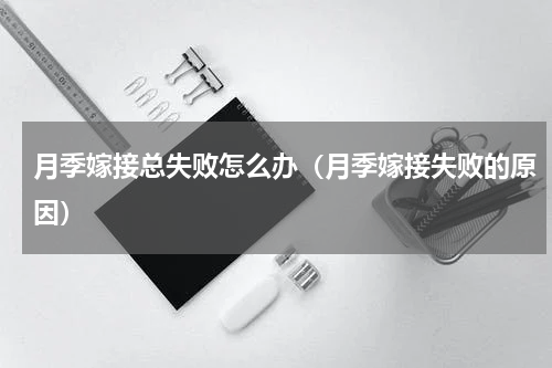 月季嫁接总失败怎么办（月季嫁接失败的原因）