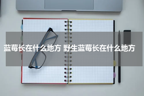蓝莓长在什么地方 野生蓝莓长在什么地方
