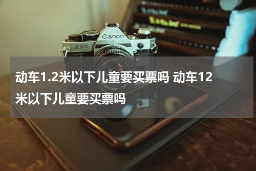 动车1.2米以下儿童要买票吗 动车12米以下儿童要买票吗