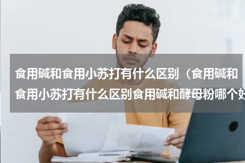食用碱和食用小苏打有什么区别（食用碱和食用小苏打有什么区别食用碱和酵母粉哪个好）