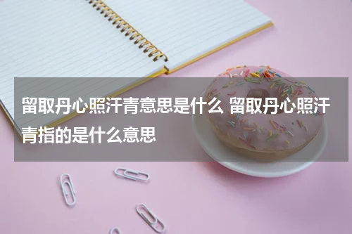 留取丹心照汗青意思是什么 留取丹心照汗青指的是什么意思