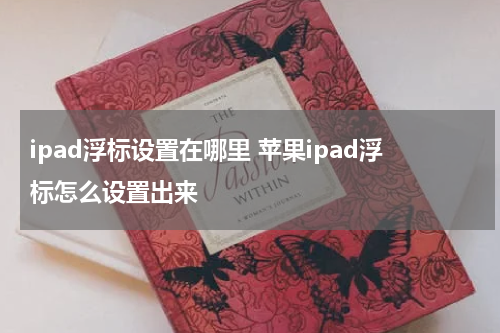ipad浮标设置在哪里 苹果ipad浮标怎么设置出来