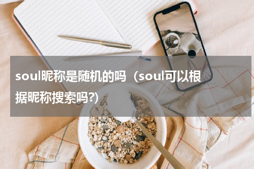 soul昵称是随机的吗（soul可以根据昵称搜索吗?）