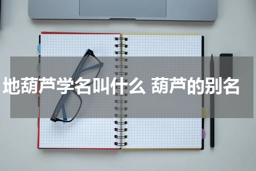 地葫芦学名叫什么 葫芦的别名