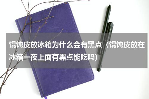 馄饨皮放冰箱为什么会有黑点（馄饨皮放在冰箱一夜上面有黑点能吃吗）