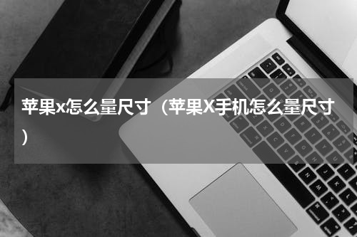 苹果x怎么量尺寸（苹果X手机怎么量尺寸）
