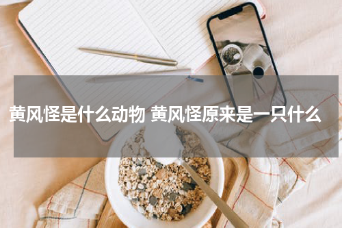 黄风怪是什么动物 黄风怪原来是一只什么