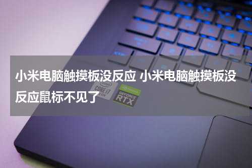 小米电脑触摸板没反应 小米电脑触摸板没反应鼠标不见了