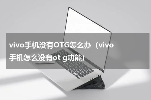 vivo手机没有OTG怎么办（vivo手机怎么没有ot g功能）