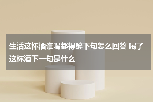 生活这杯酒谁喝都得醉下句怎么回答 喝了这杯酒下一句是什么