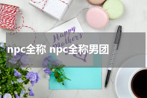 npc全称 npc全称男团
