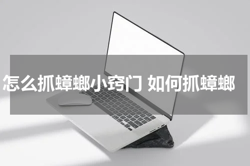 怎么抓蟑螂小窍门 如何抓蟑螂