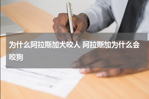 为什么阿拉斯加犬咬人 阿拉斯加为什么会咬狗