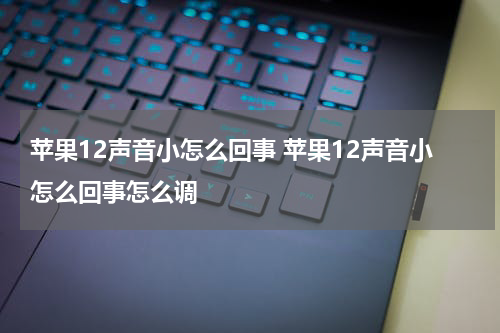 苹果12声音小怎么回事 苹果12声音小怎么回事怎么调
