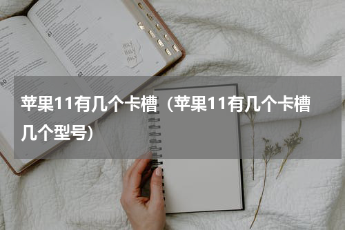 苹果11有几个卡槽（苹果11有几个卡槽几个型号）