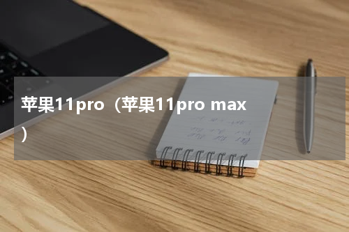 苹果11pro（苹果11pro max）