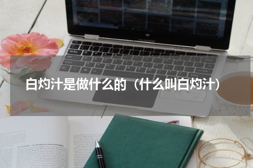 白灼汁是做什么的（什么叫白灼汁）