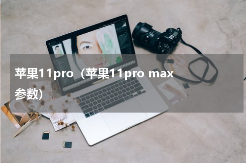 苹果11pro（苹果11pro max参数）