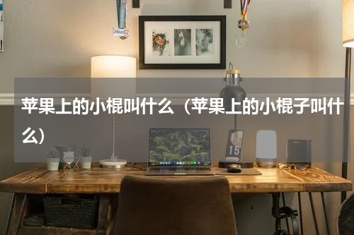 苹果上的小棍叫什么（苹果上的小棍子叫什么）