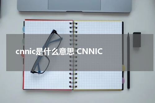 cnnic是什么意思 CNNIC