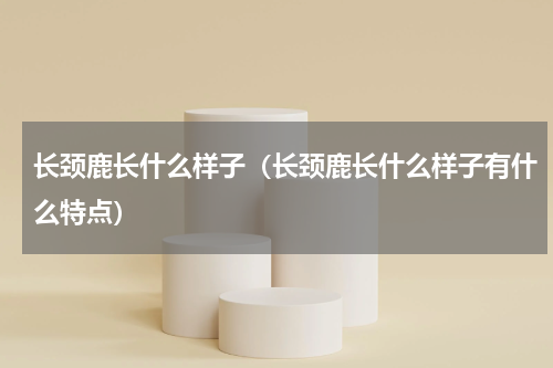 长颈鹿长什么样子（长颈鹿长什么样子有什么特点）