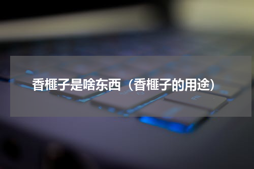 香榧子是啥东西（香榧子的用途）