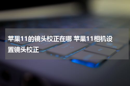 苹果11的镜头校正在哪 苹果11相机设置镜头校正