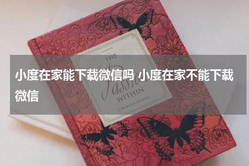 小度在家能下载微信吗 小度在家不能下载微信
