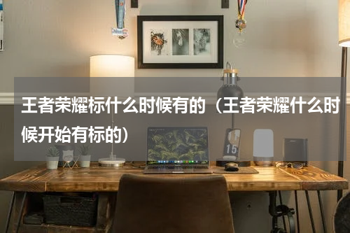 王者荣耀标什么时候有的（王者荣耀什么时候开始有标的）