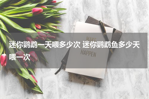 迷你鹦鹉一天喂多少次 迷你鹦鹉鱼多少天喂一次