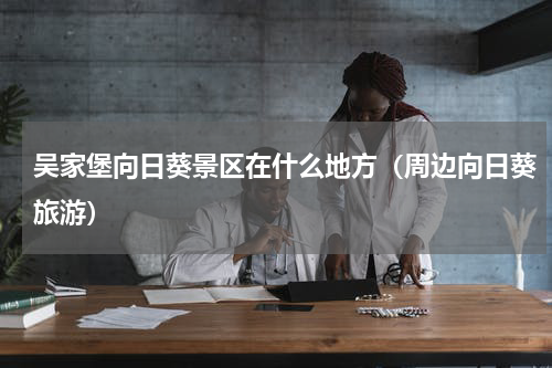 吴家堡向日葵景区在什么地方（周边向日葵旅游）