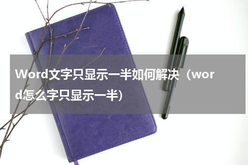 Word文字只显示一半如何解决（word怎么字只显示一半）