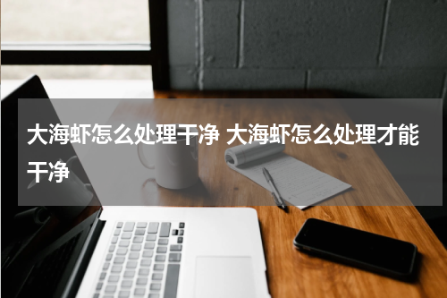 大海虾怎么处理干净 大海虾怎么处理才能干净