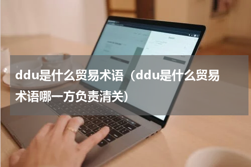 ddu是什么贸易术语（ddu是什么贸易术语哪一方负责清关）